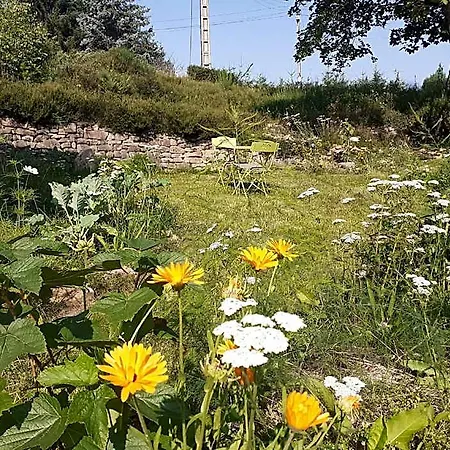 Chemin De Resilience
