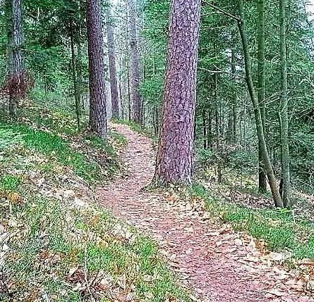 Chemin De Resilience 3*